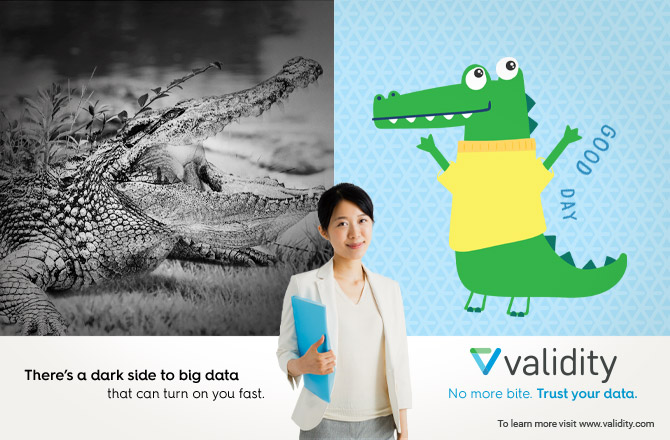 Validity slide5 aligator-new3