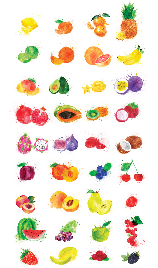 happy-chameleon-fruit-illos