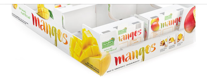 mango-master-carton