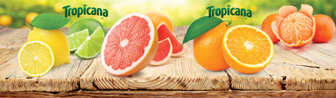trop-rustic